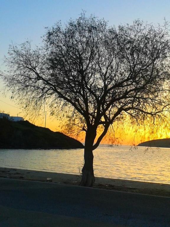 Calypso Hotel İİlipsi Dış mekan fotoğraf