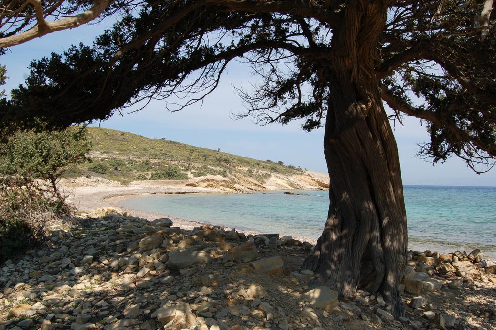 Calypso Hotel İİlipsi Dış mekan fotoğraf